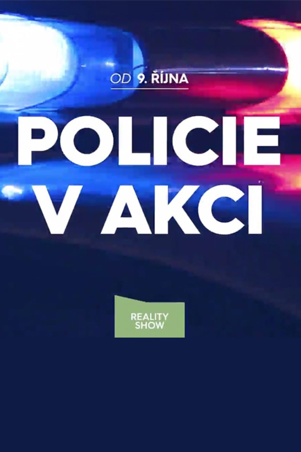 Police in action preview 2