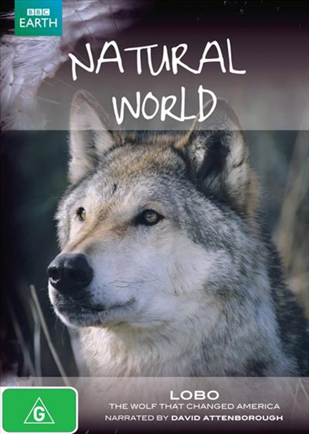 A Wolf Called Storm preview 1