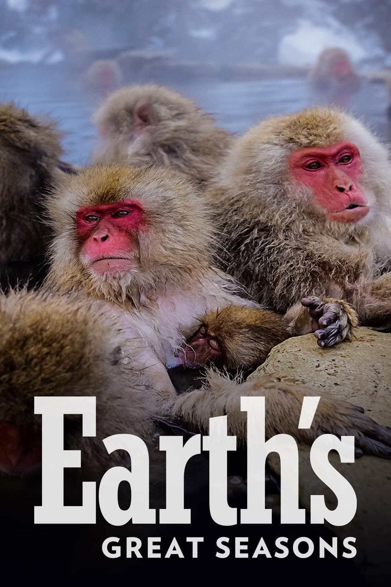 Earth's Seasonal Secrets preview 2