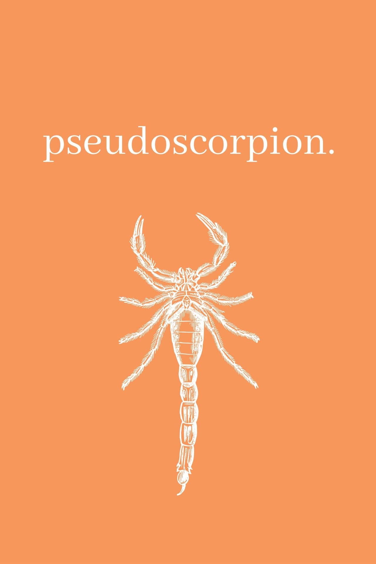 Pseudoscorpion preview 1