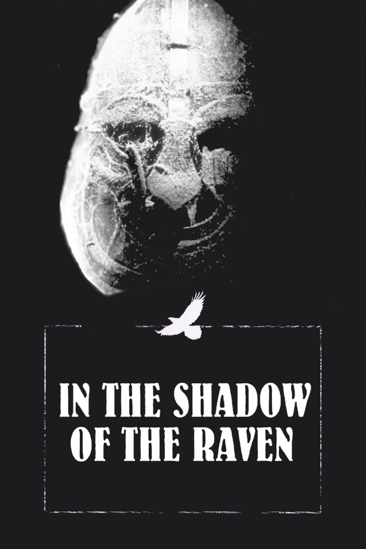 In the Shadow of the Raven preview 2