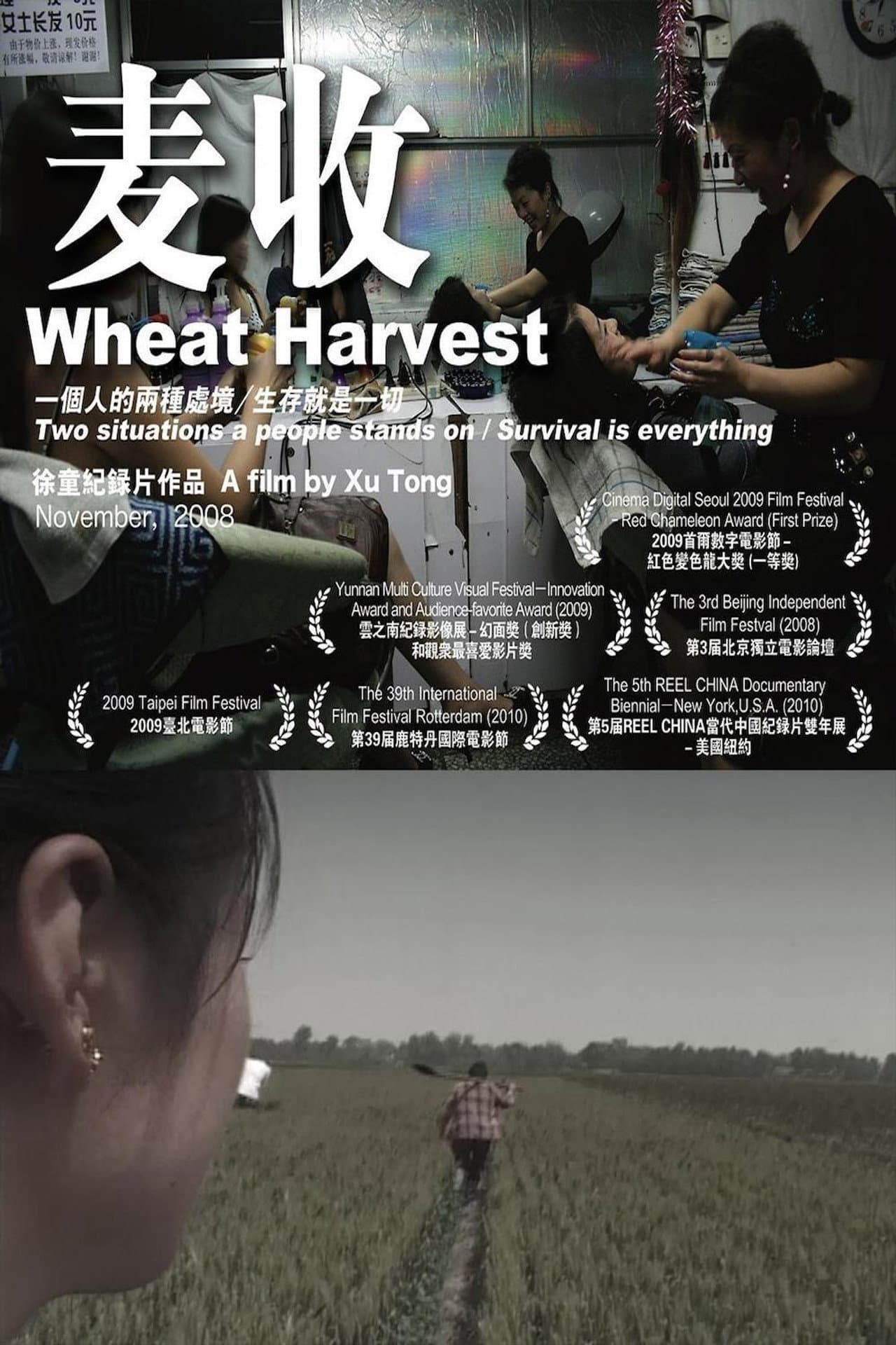 Wheat Harvest preview 2