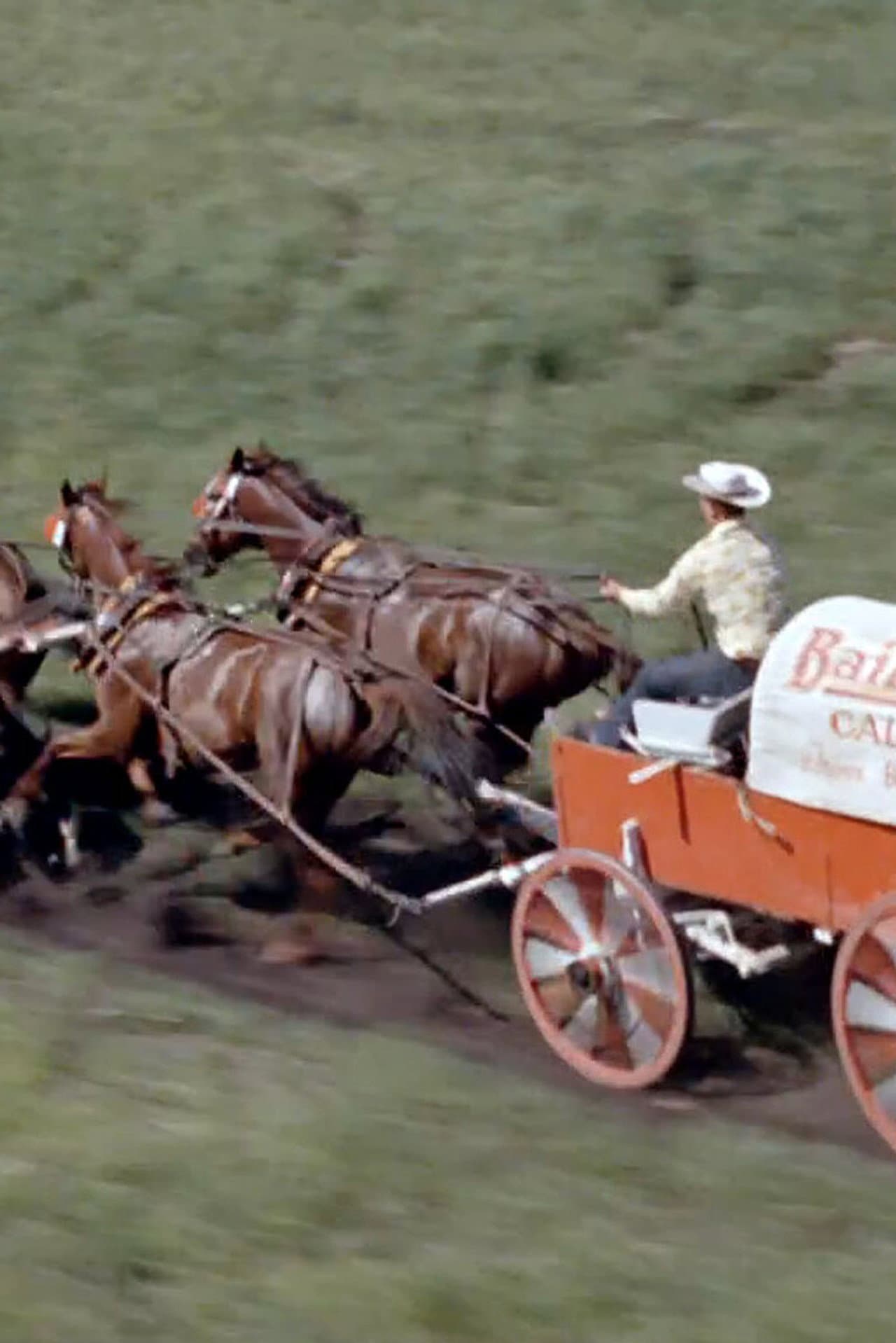 Chuckwagon preview 2