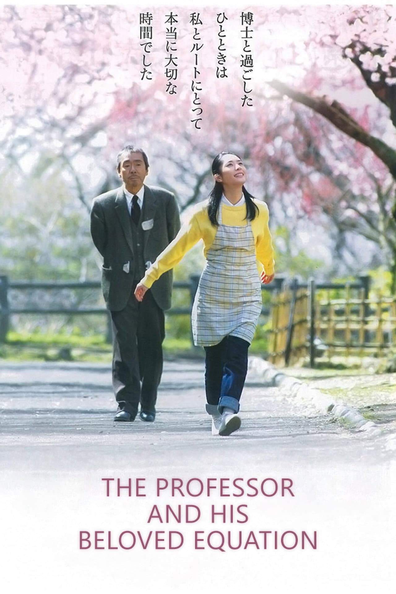 The Professor and His Beloved Equation preview 2