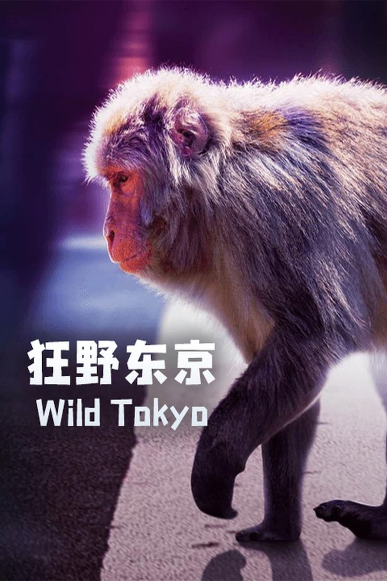 Wild Tokyo preview 2