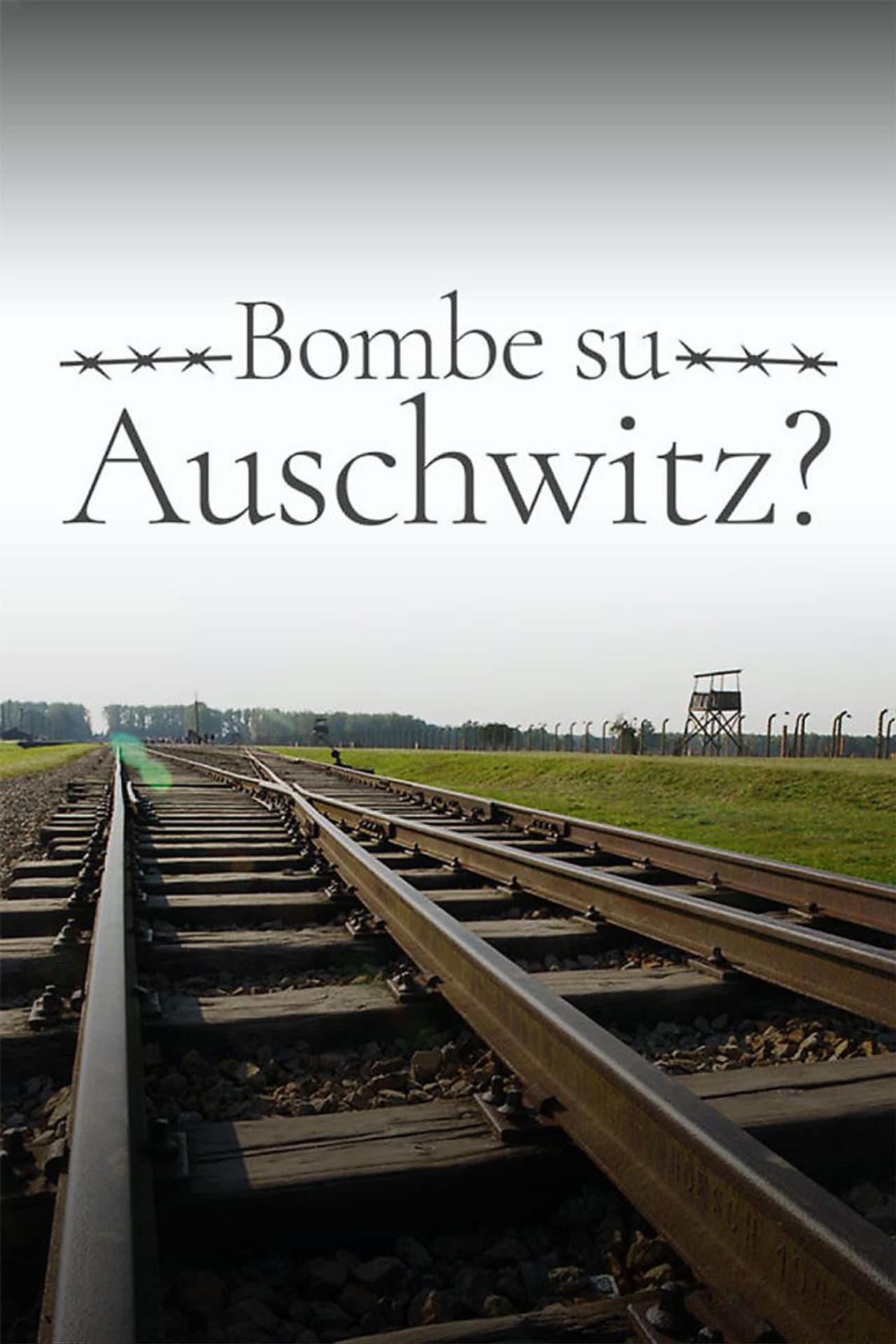 1944: Should We Bomb Auschwitz? preview 2