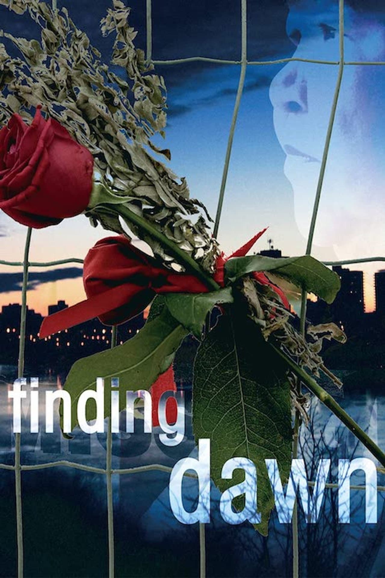 Finding Dawn preview 2