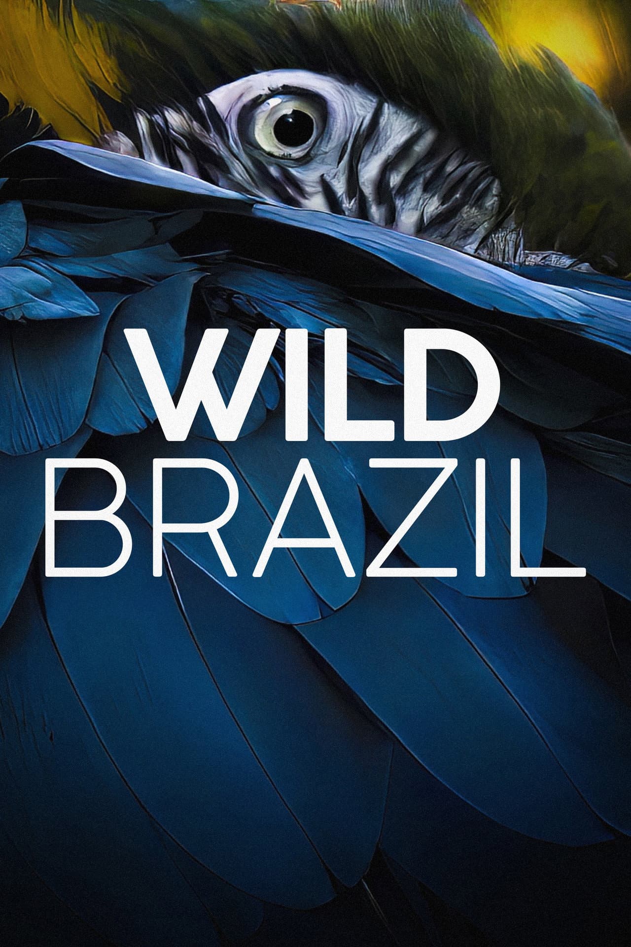 Wild Brazil preview 2