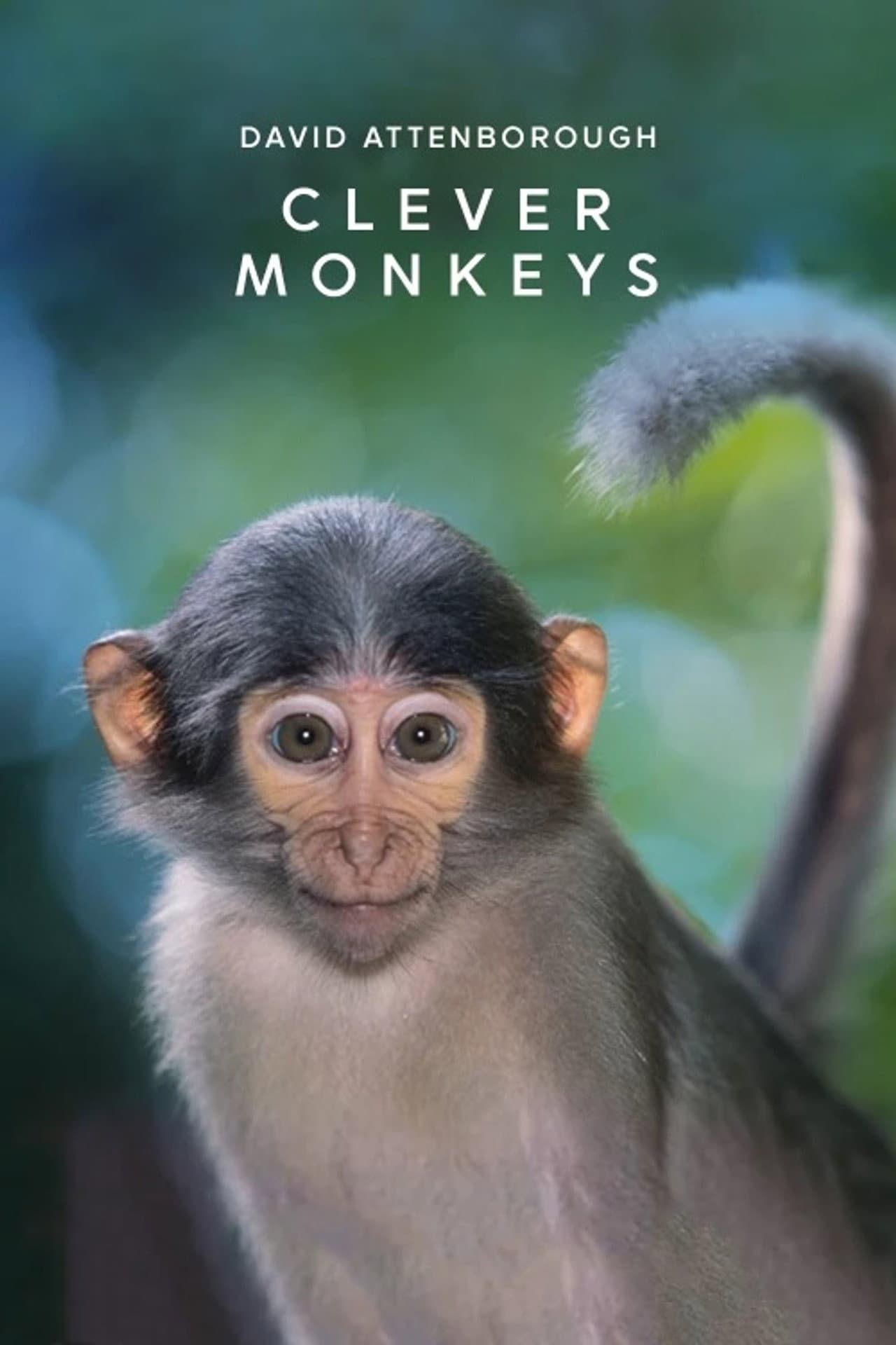 Clever Monkeys preview 1