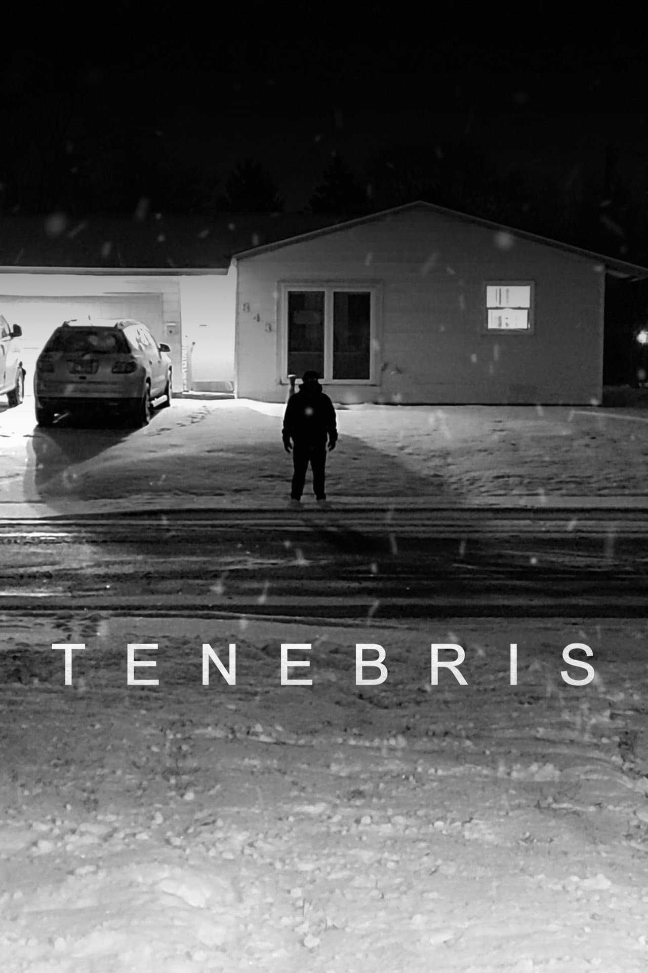 Tenebris preview 2