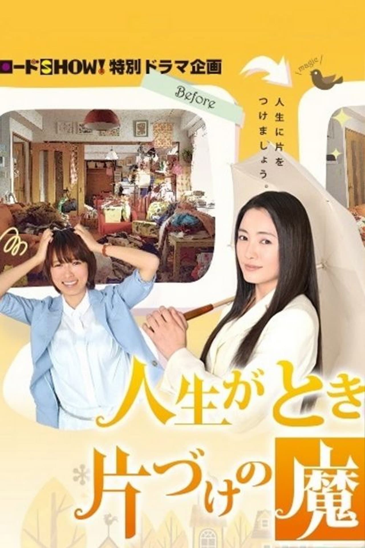 The Life-Changing Magic of Tidying Up preview 2