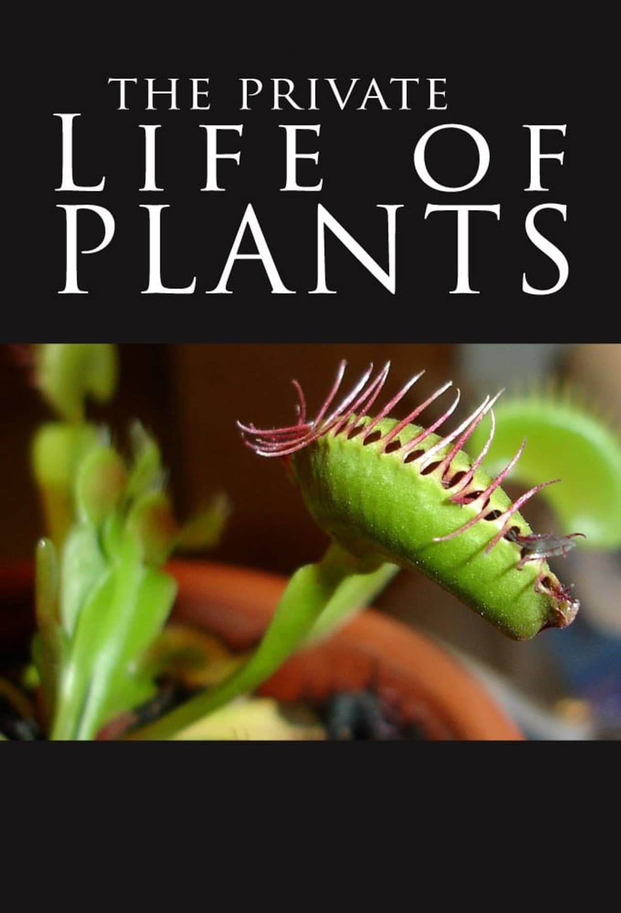The Private Life of Plants preview 2