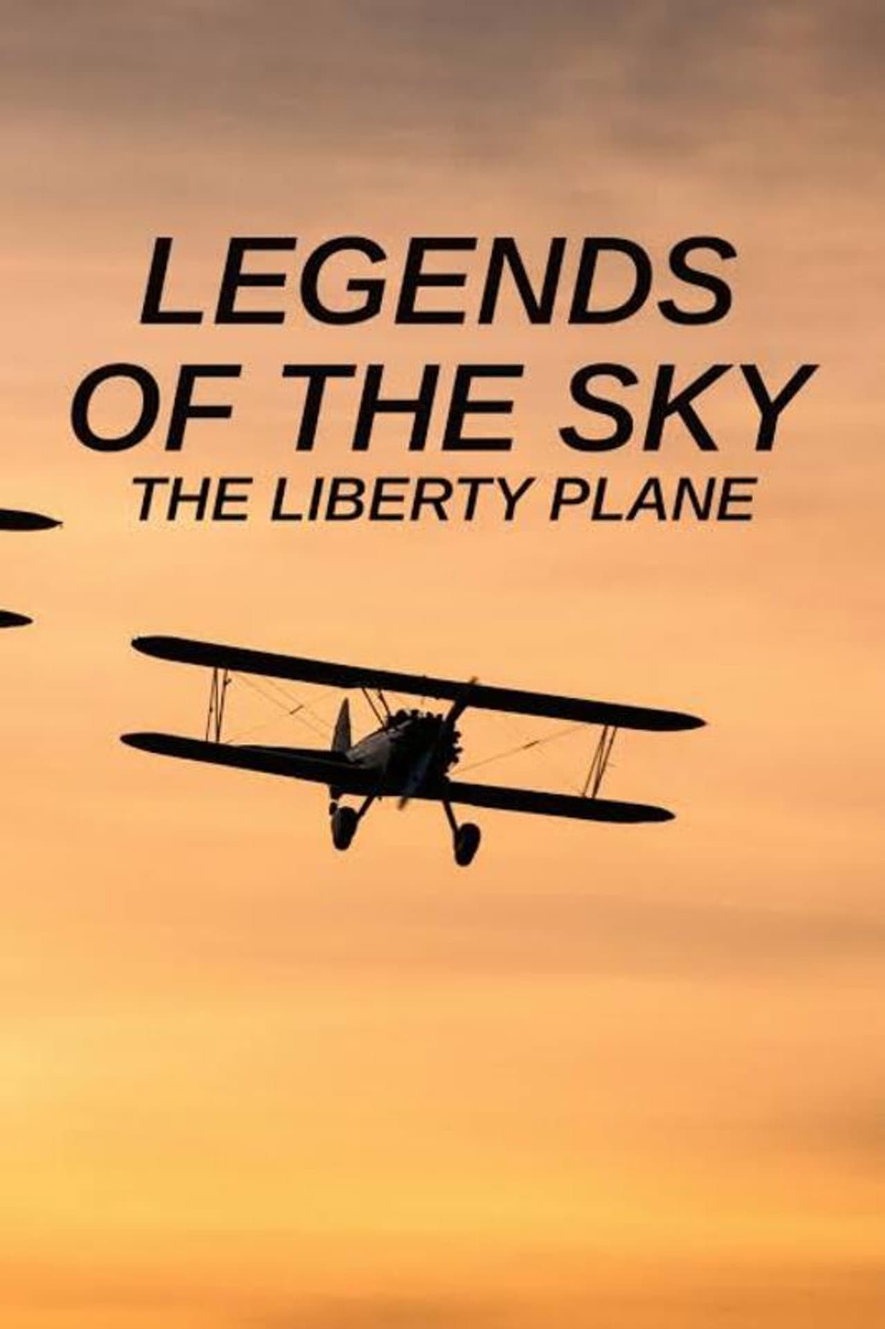 Legends of the Sky: The Liberty Plane preview 2