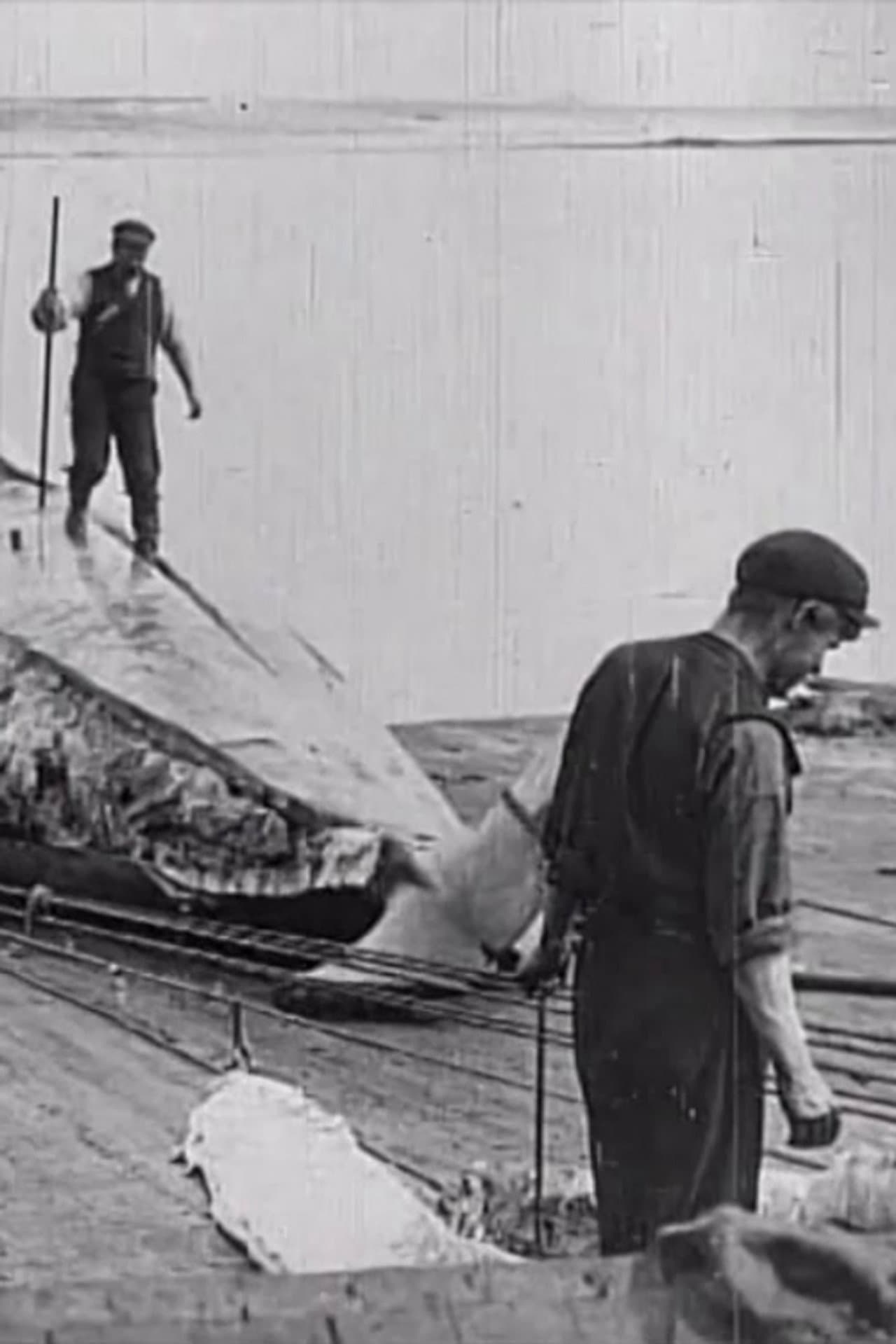 Whaling Afloat and Ashore preview 1