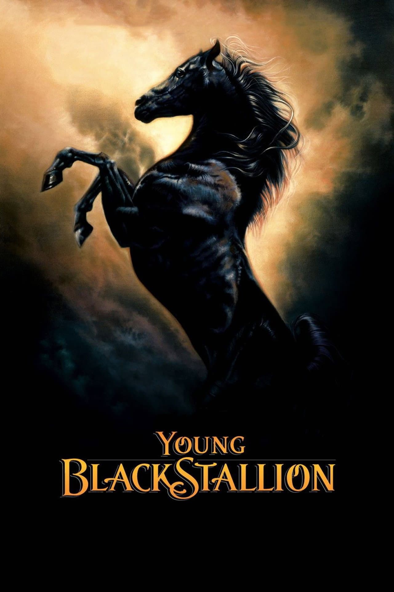 Young Black Stallion preview 2