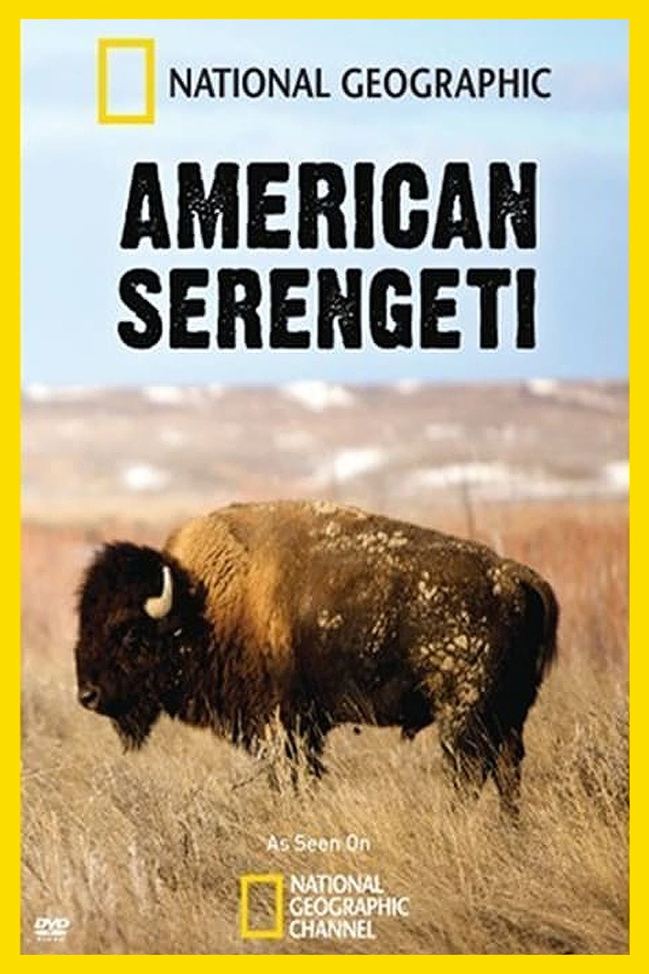 American Serengeti preview 1