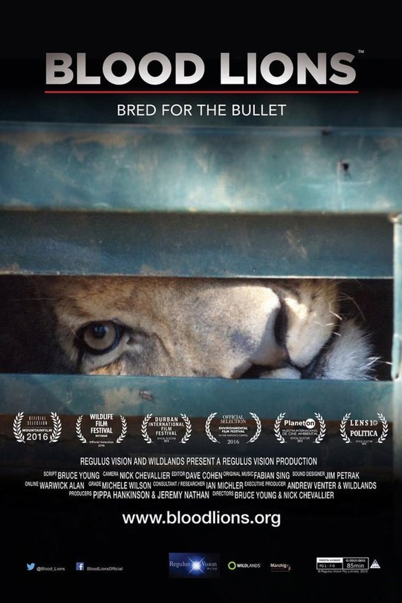 Blood Lions preview 2