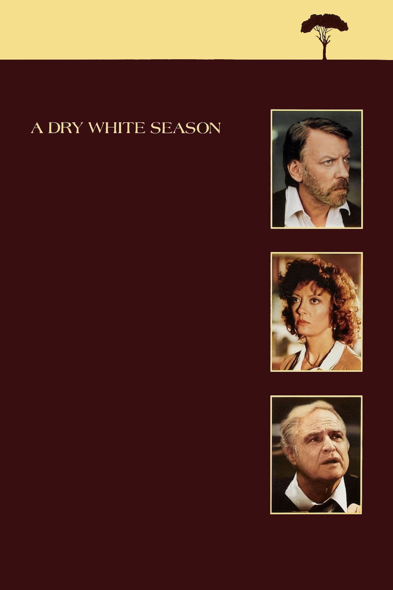 A Dry White Season preview 2