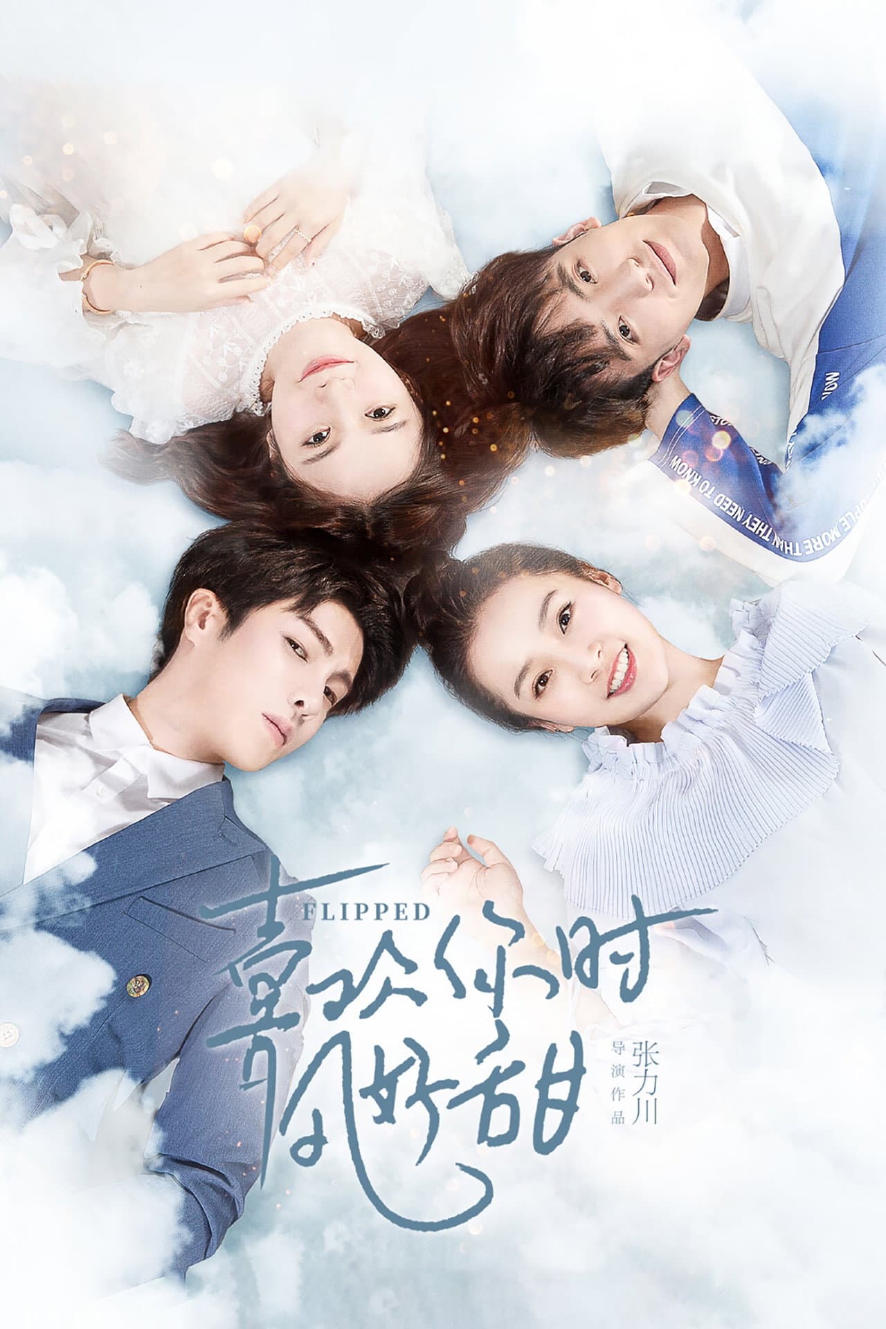Flipped preview 2