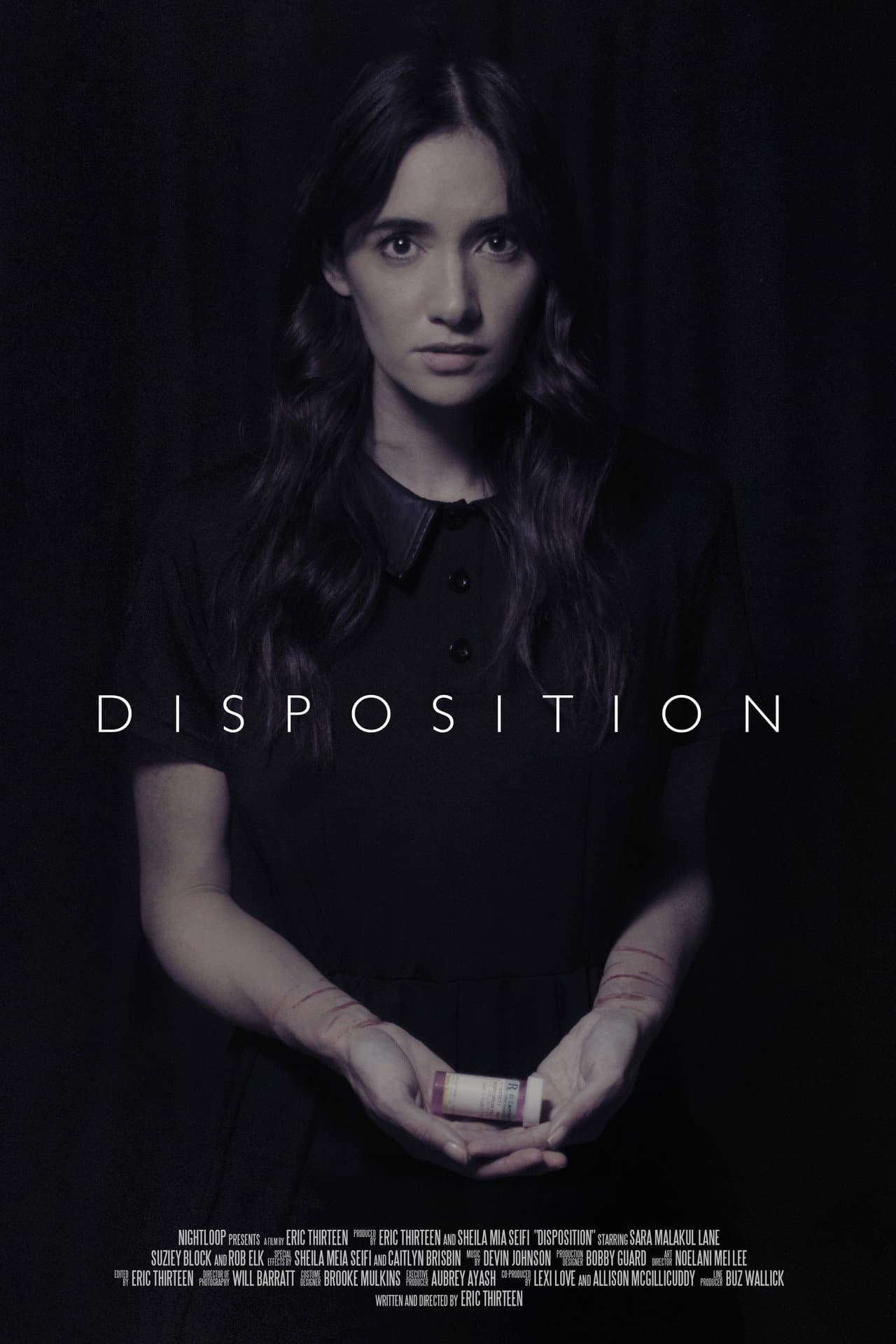 Disposition preview 1