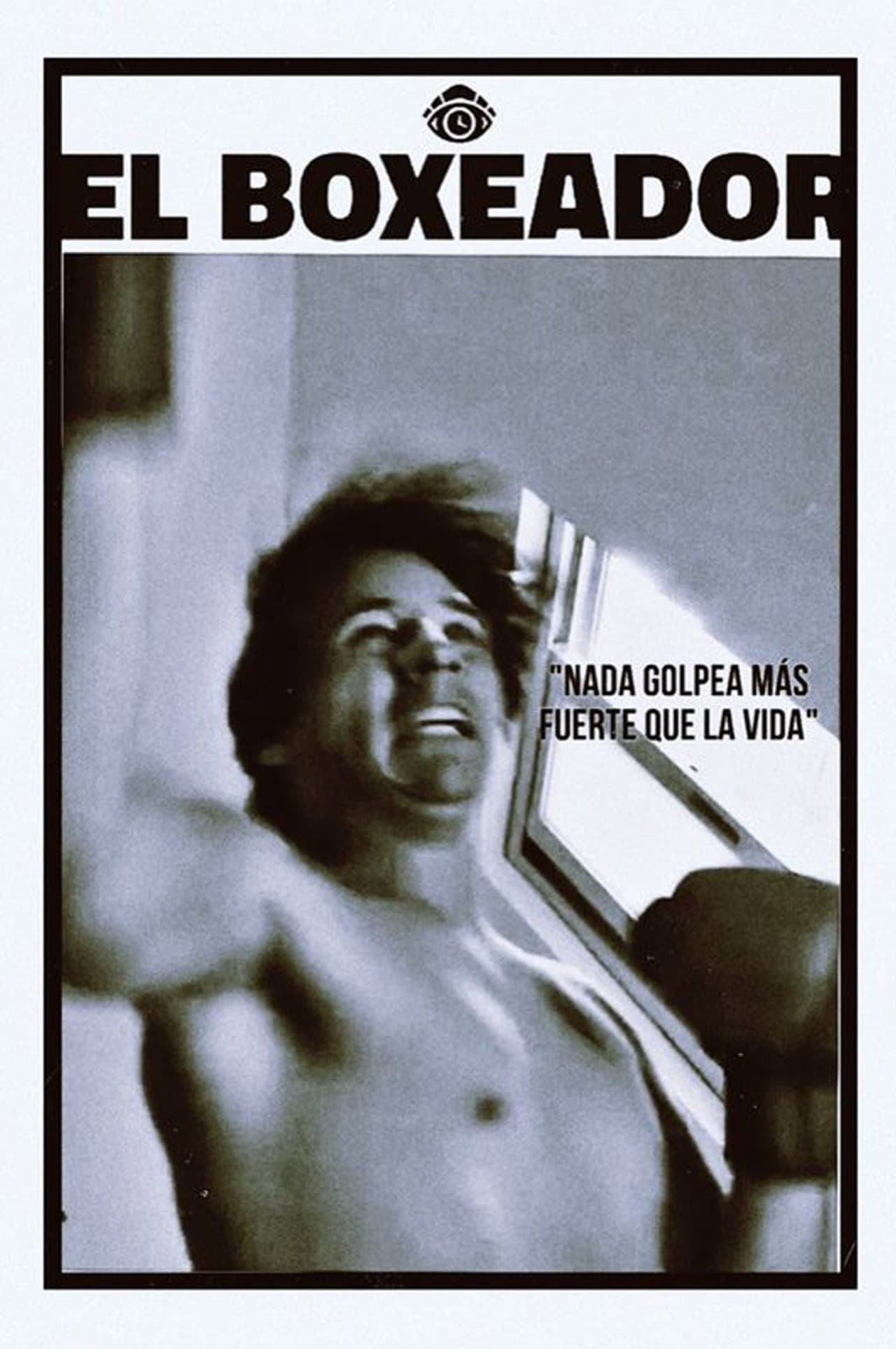 The Boxer preview 2