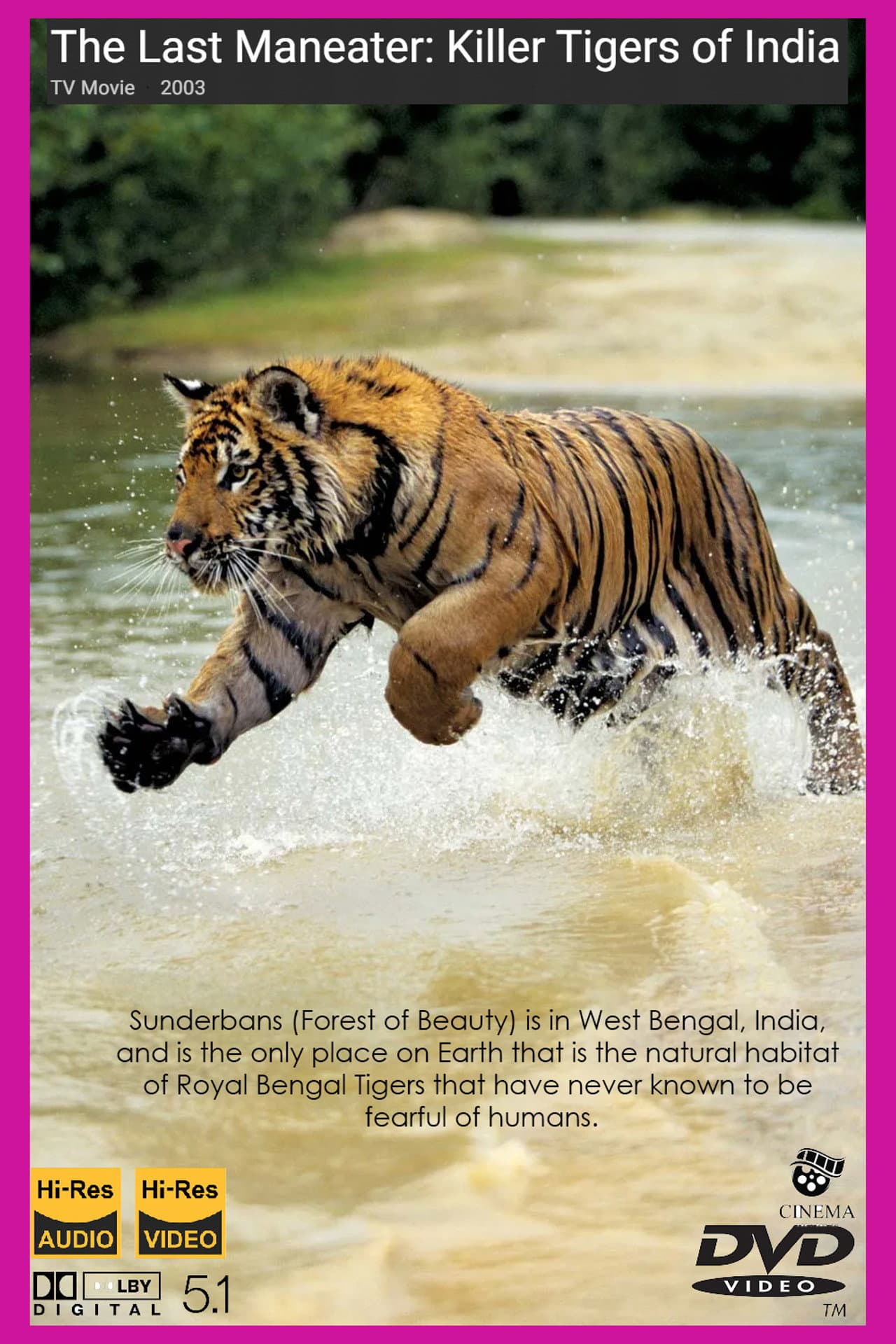 The Last Maneater: Killer Tigers of India preview 2