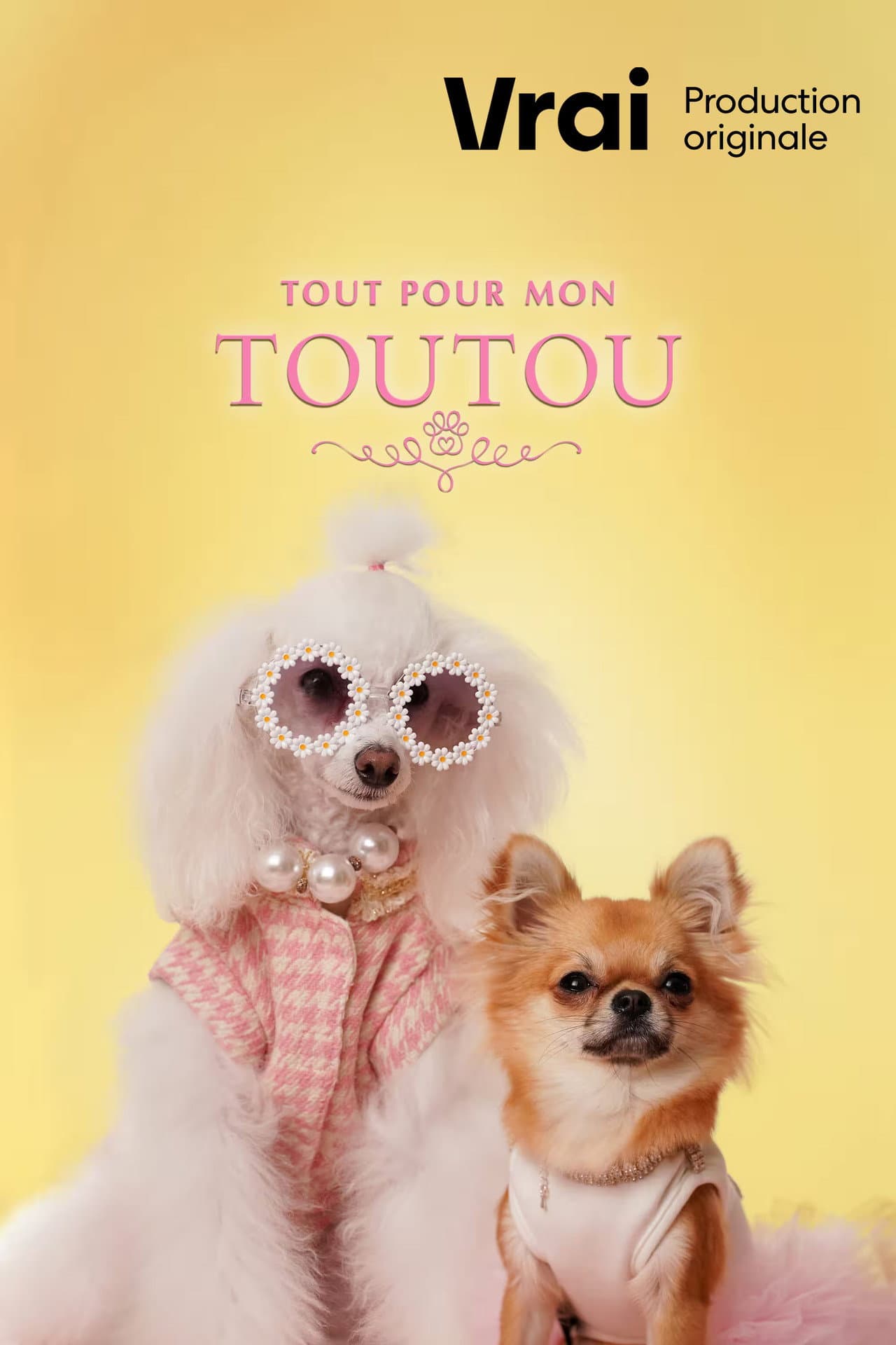 Tout pour mon toutou preview 1