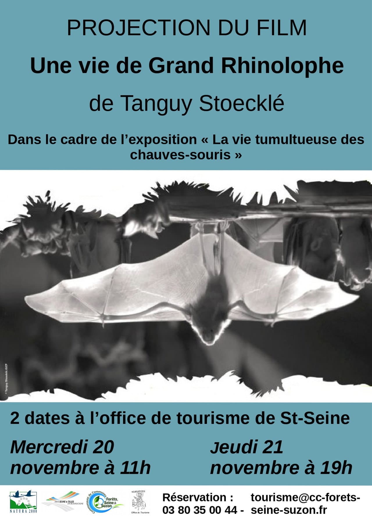 The Life of a Greater Horseshoe Bat preview 1