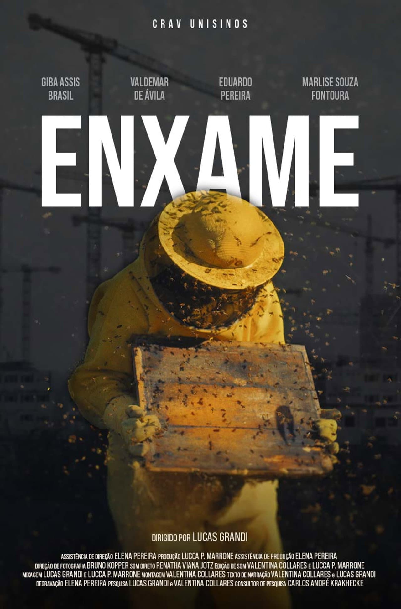Enxame preview 2