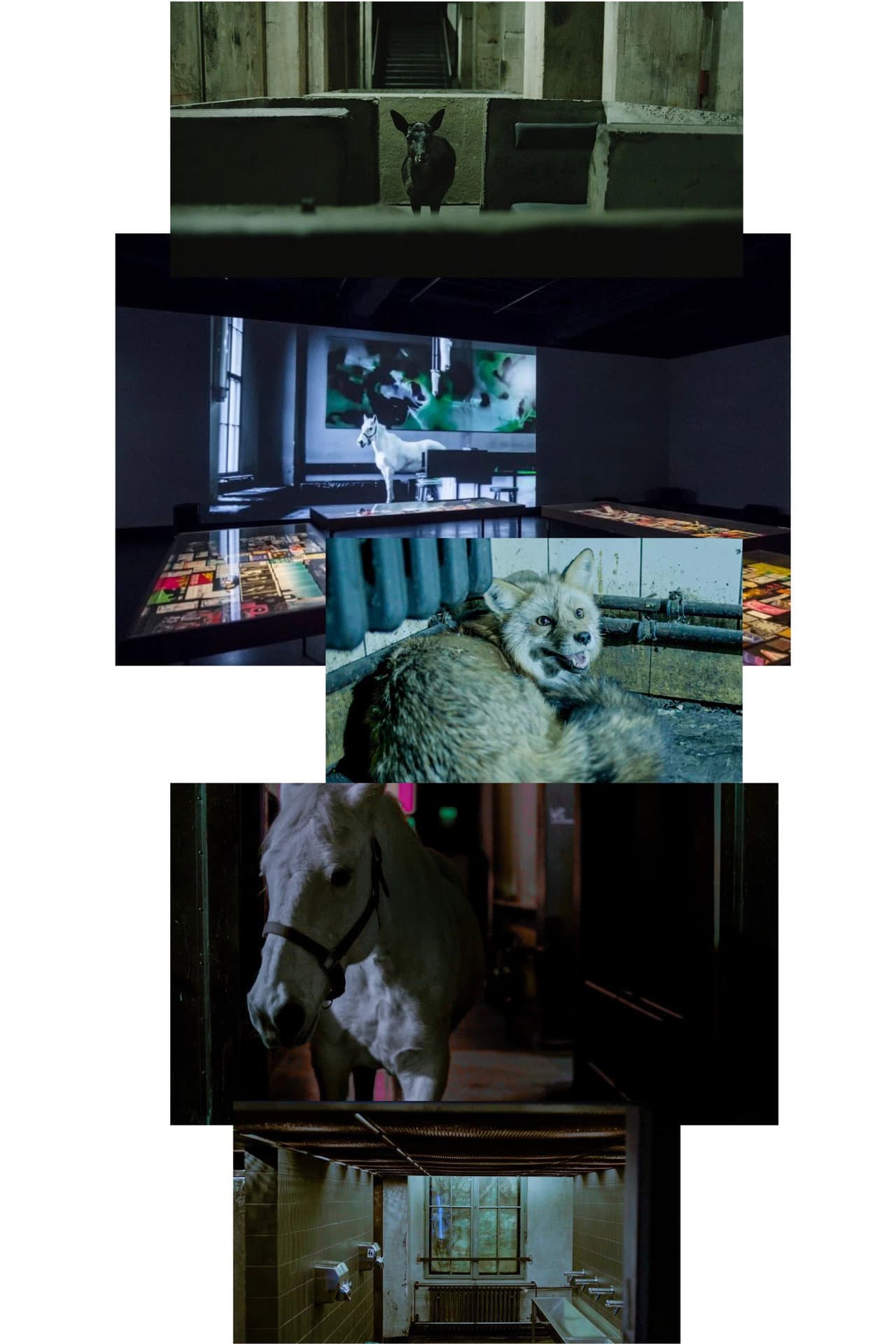 After Hours preview 2