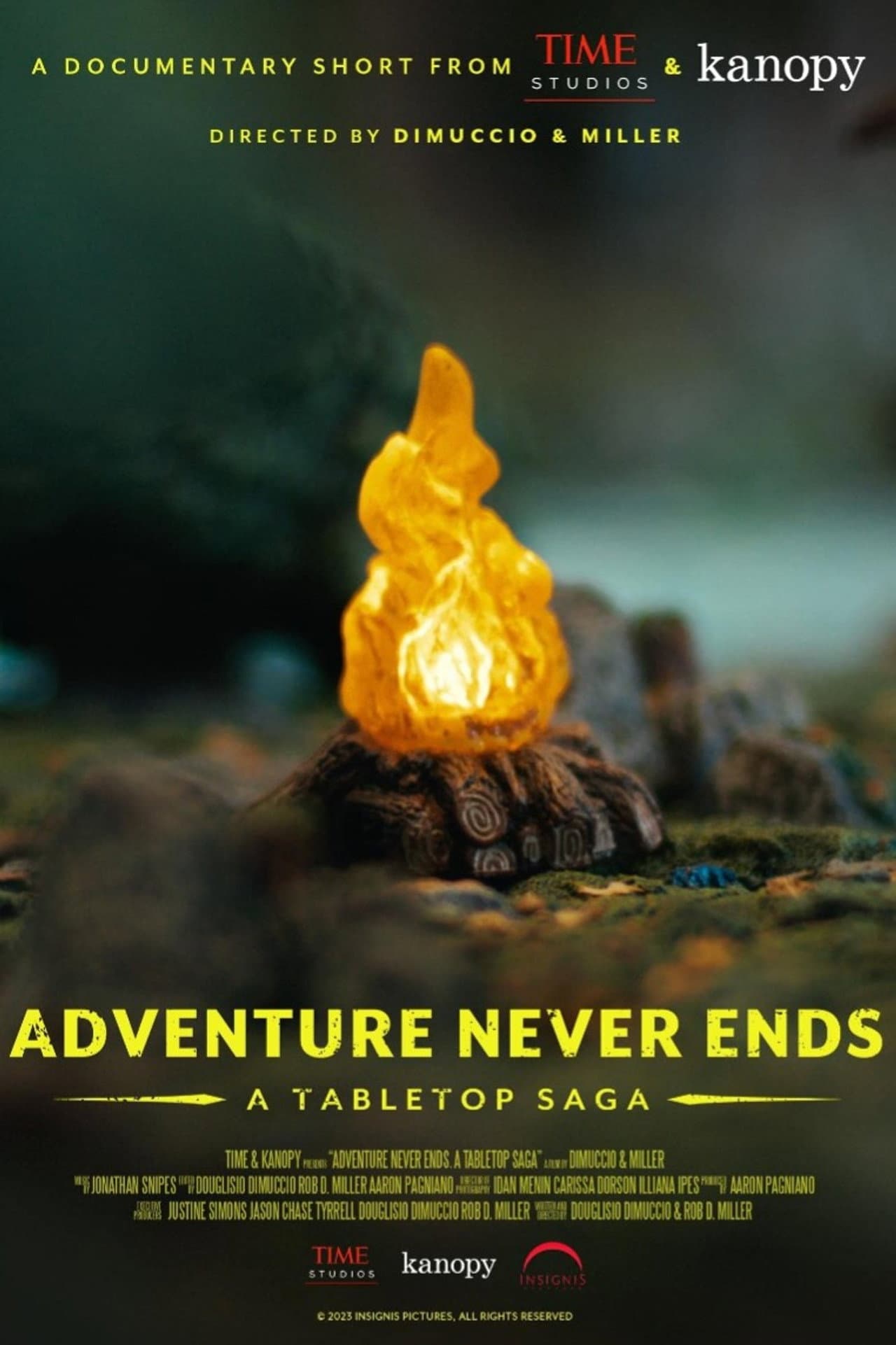 Adventure Never Ends: A Tabletop Saga preview 2