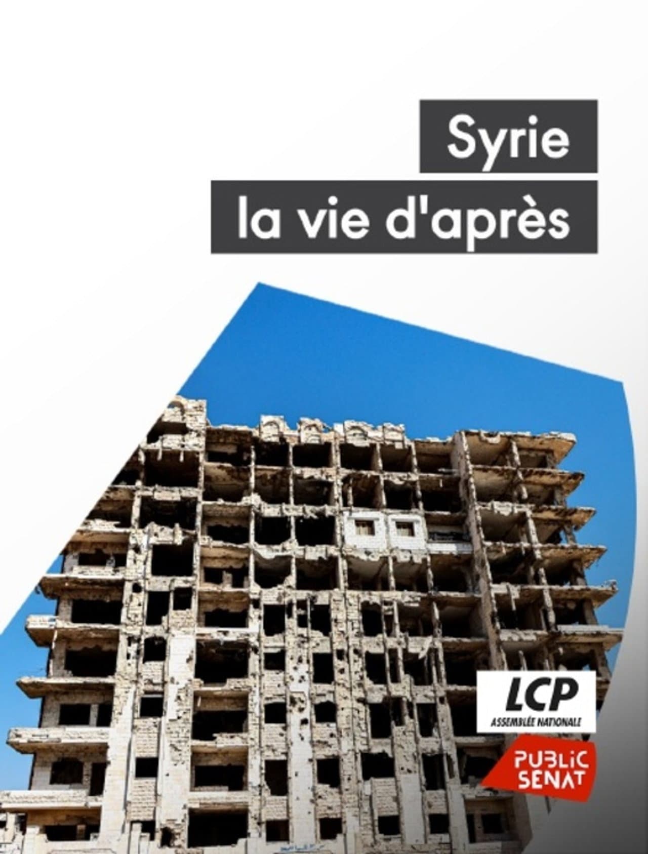 Homs - Syrie, la vie d’après preview 2