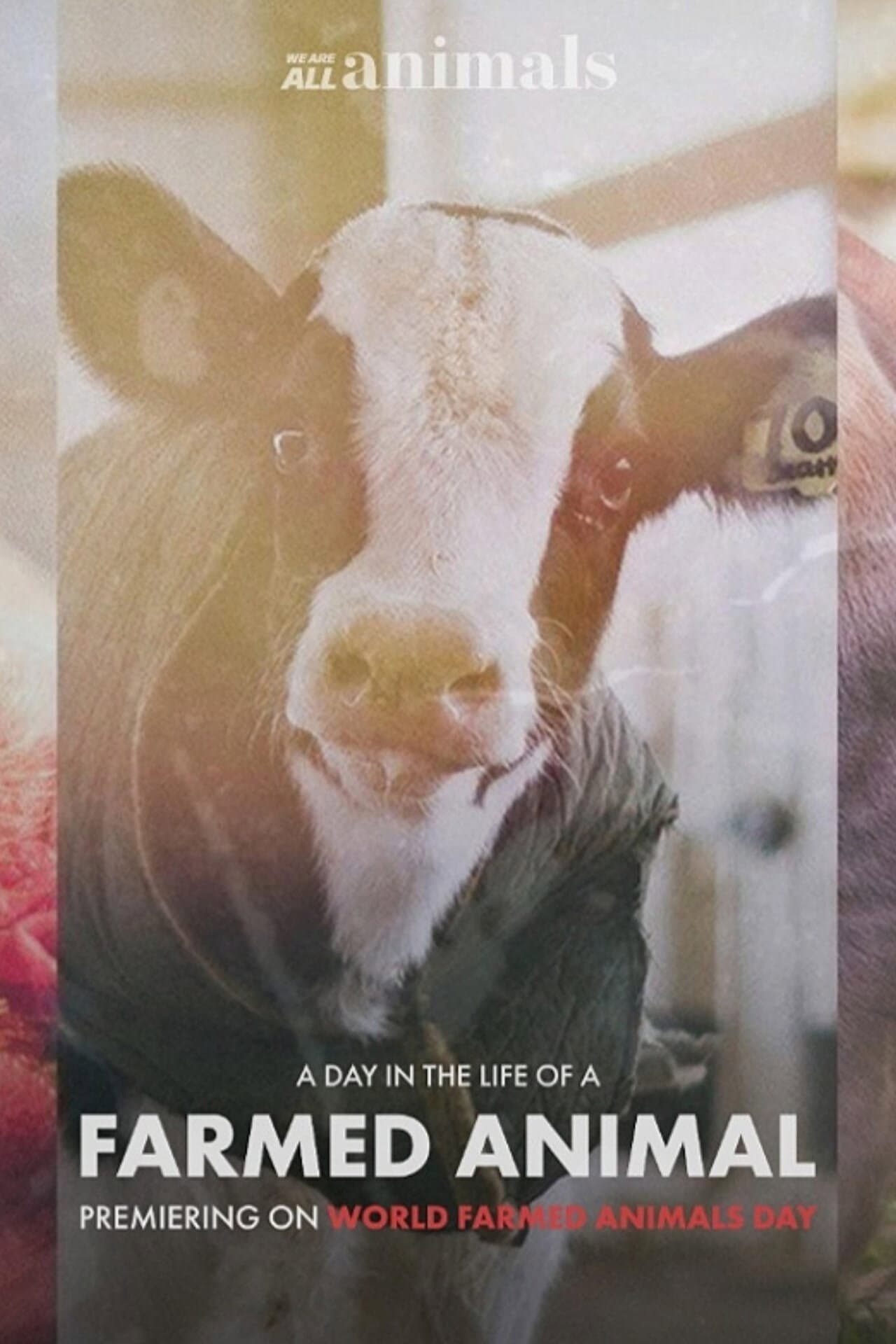 A Day in the Life of a Farmed Animal preview 1