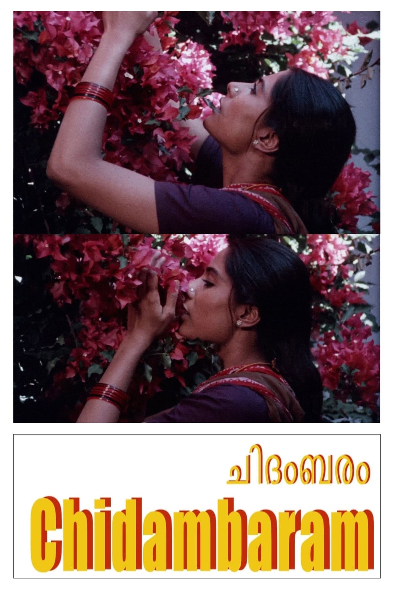 Chidambaram preview 2