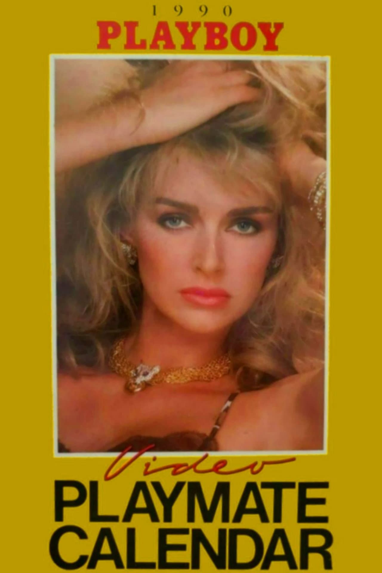 Playboy Video Playmate Calendar 1990 preview 1