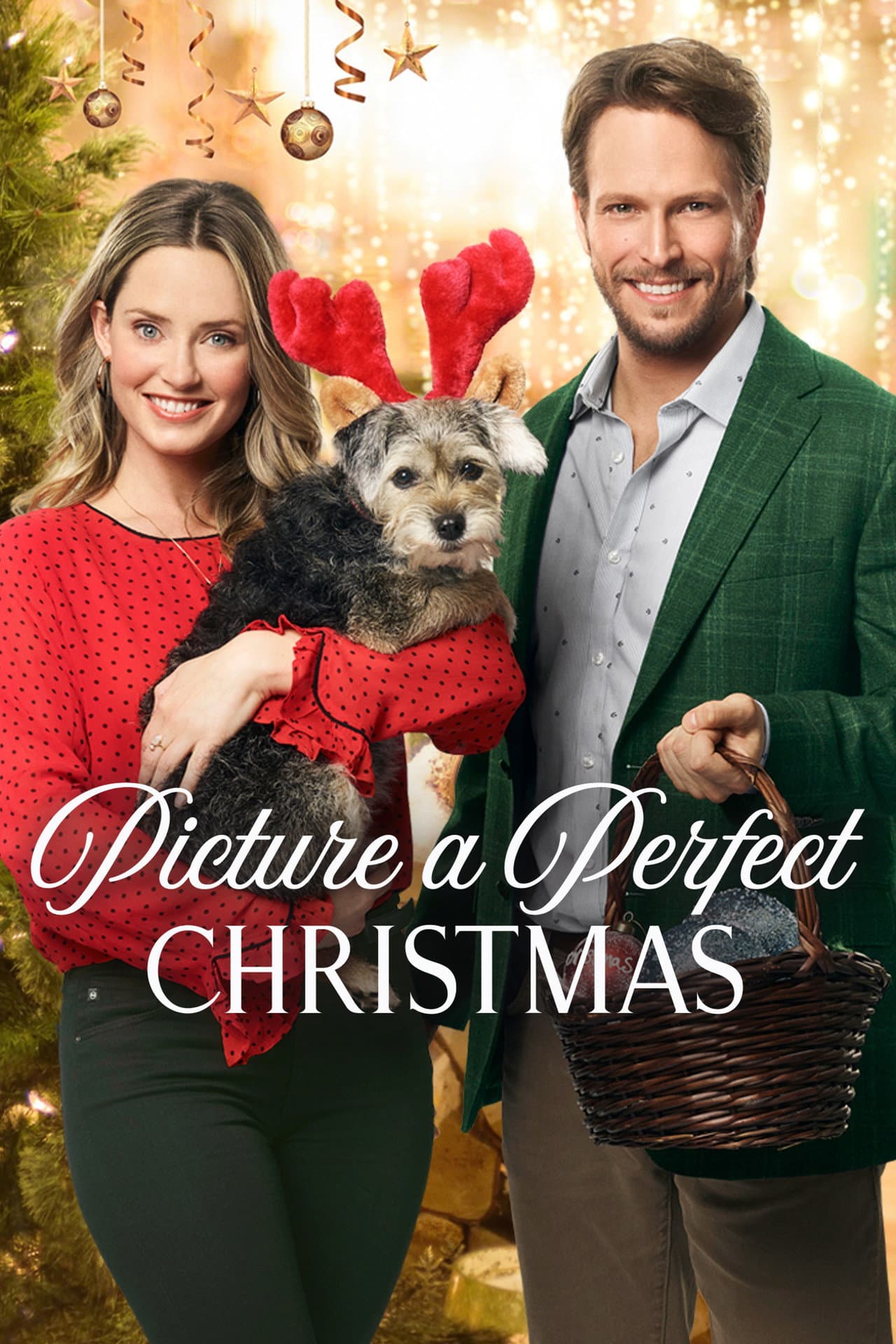 Picture a Perfect Christmas preview 2
