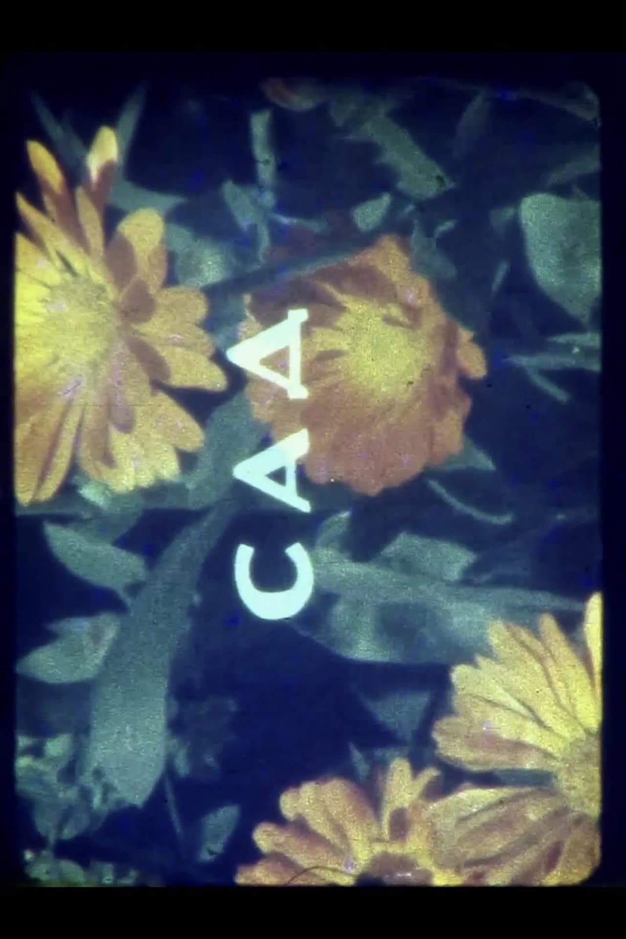 Colors of Summer preview 1