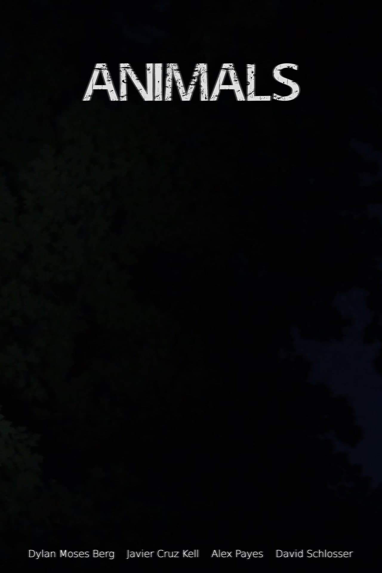 Animals preview 2