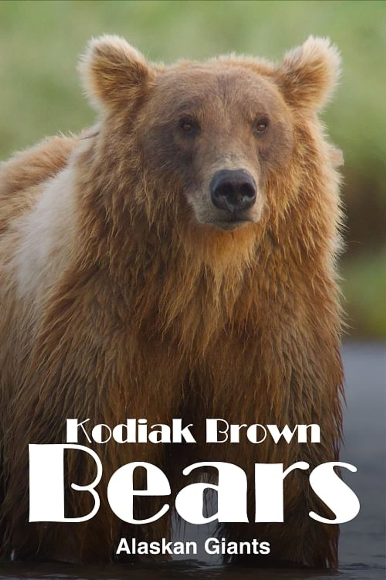 Alaska's Giant Bears preview 2