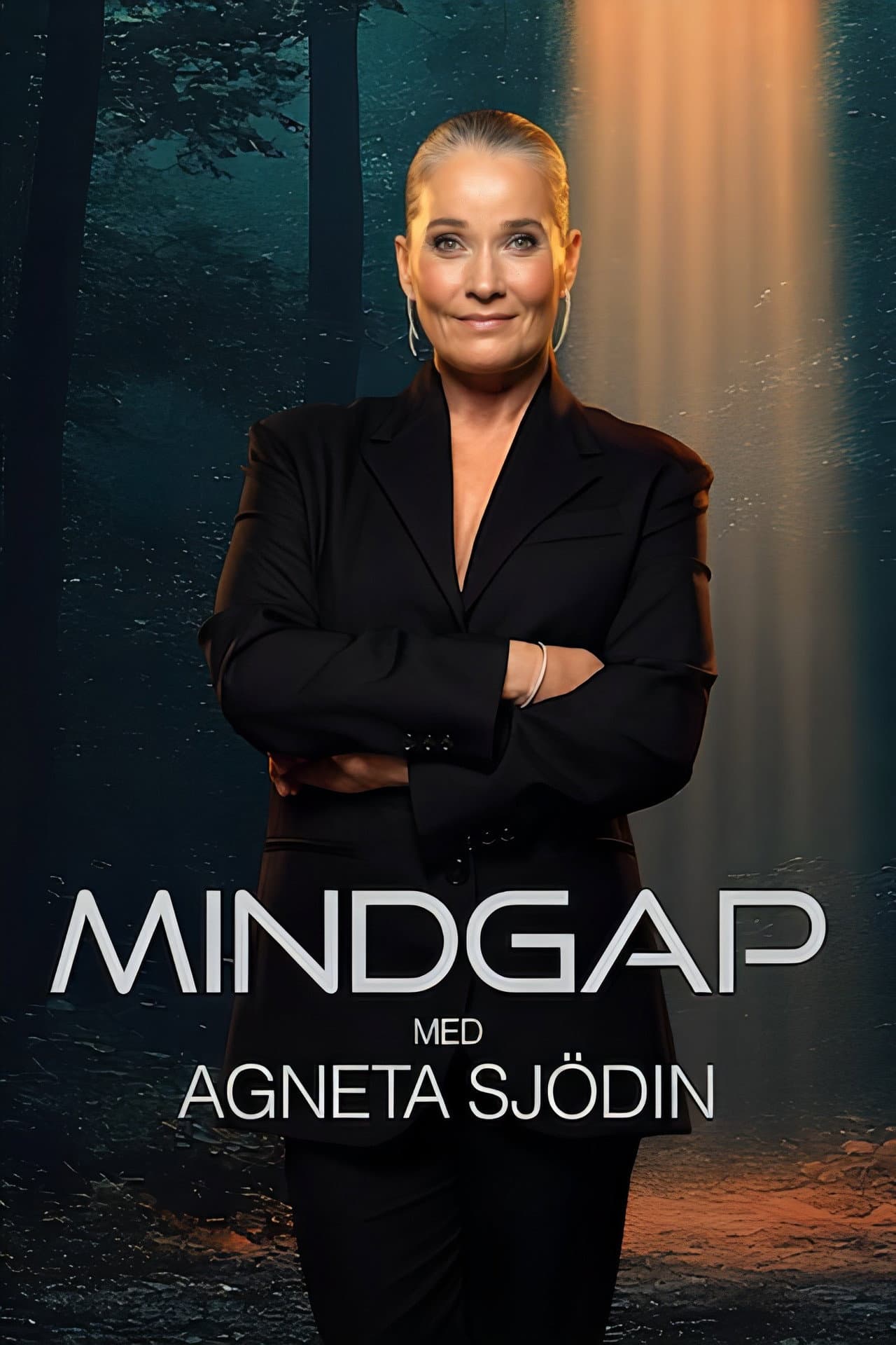 Mindgap med Agneta Sjödin preview 2