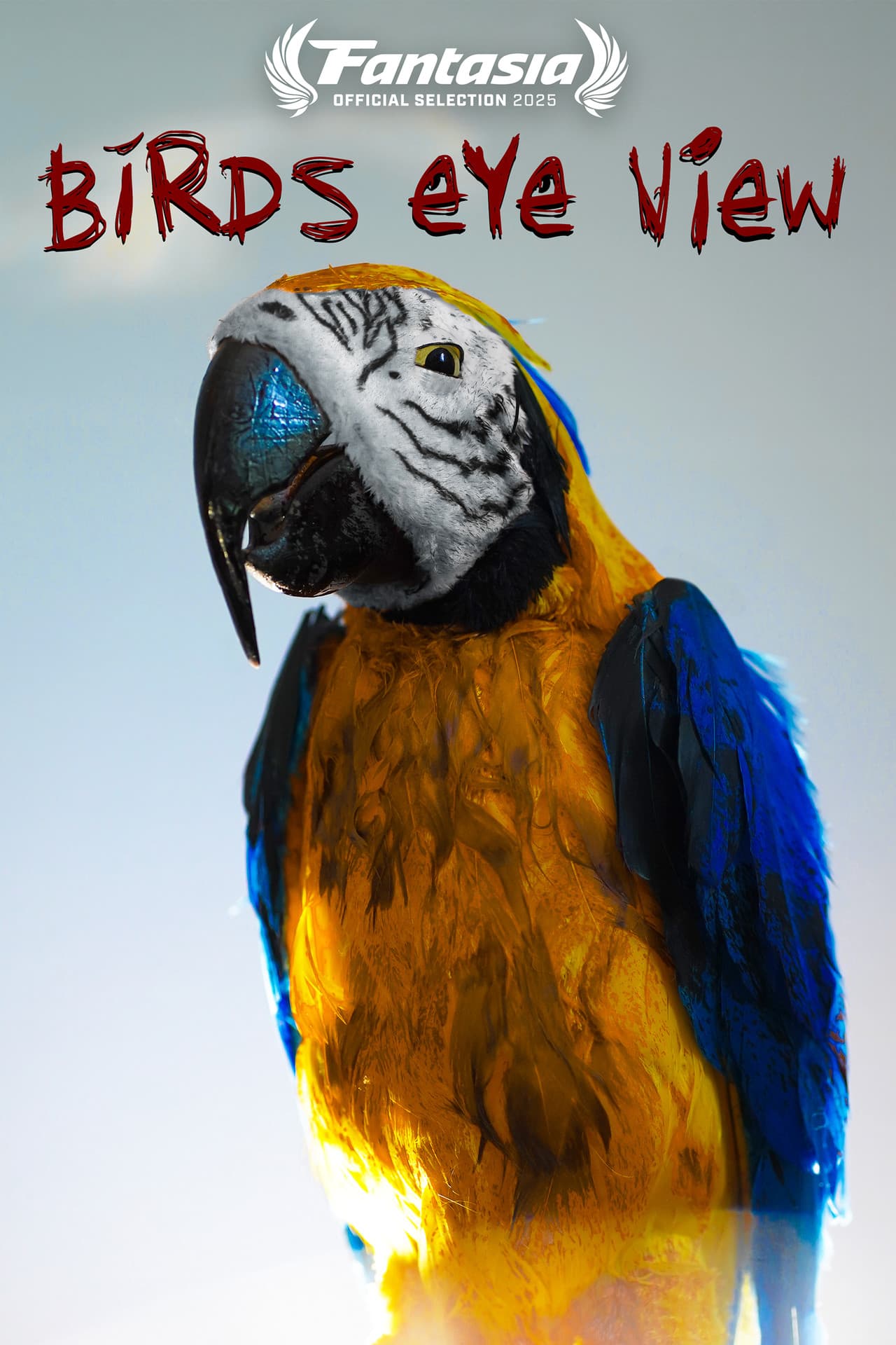 Bird's Eye View preview 1