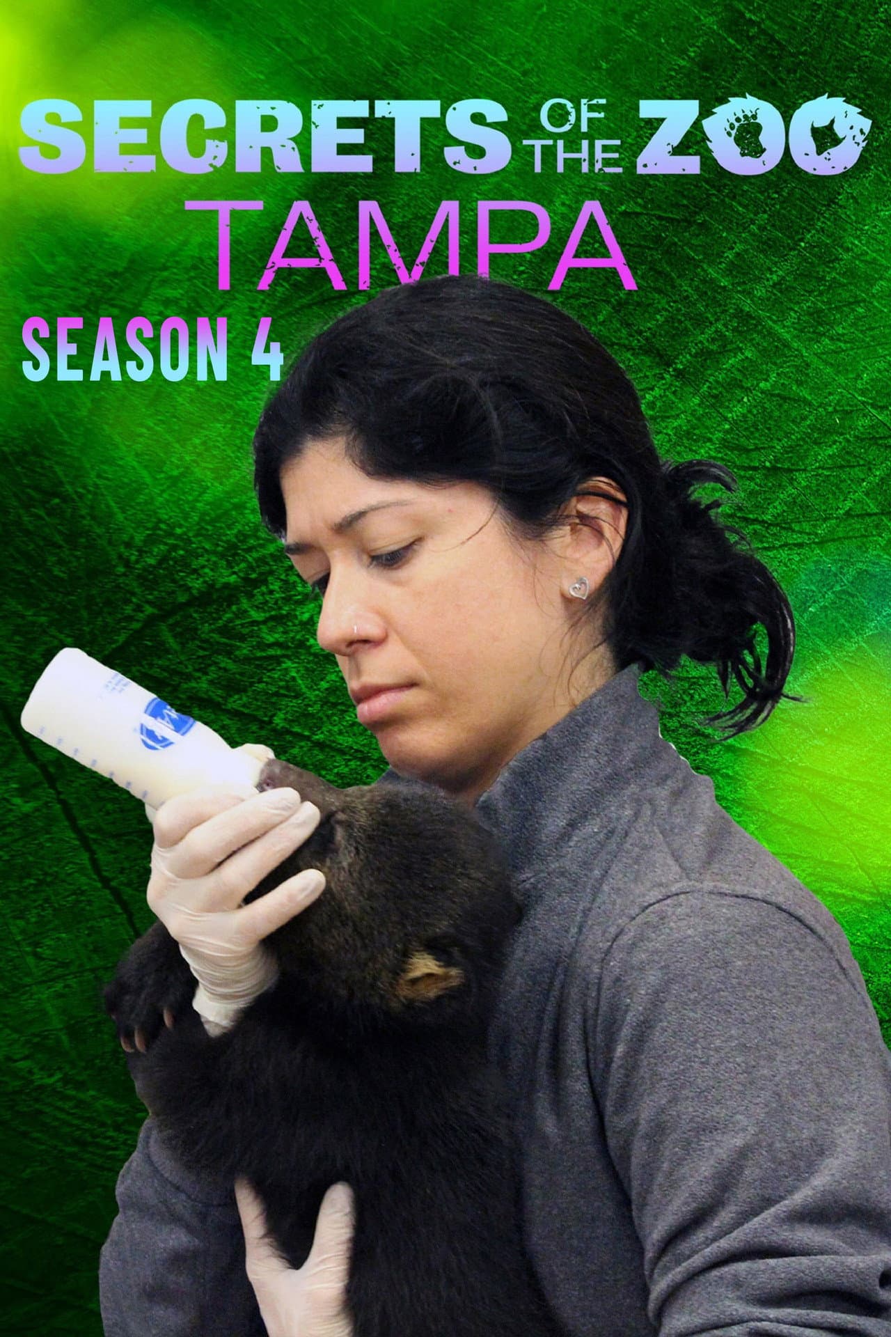 Season 4
