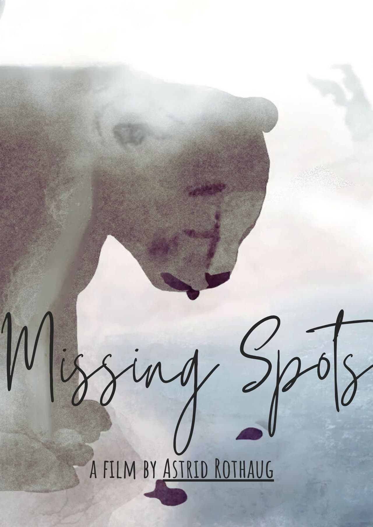 The Missing Spots preview 2