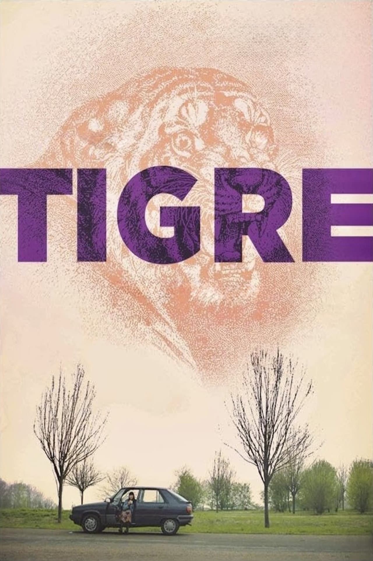 Tiger preview 2