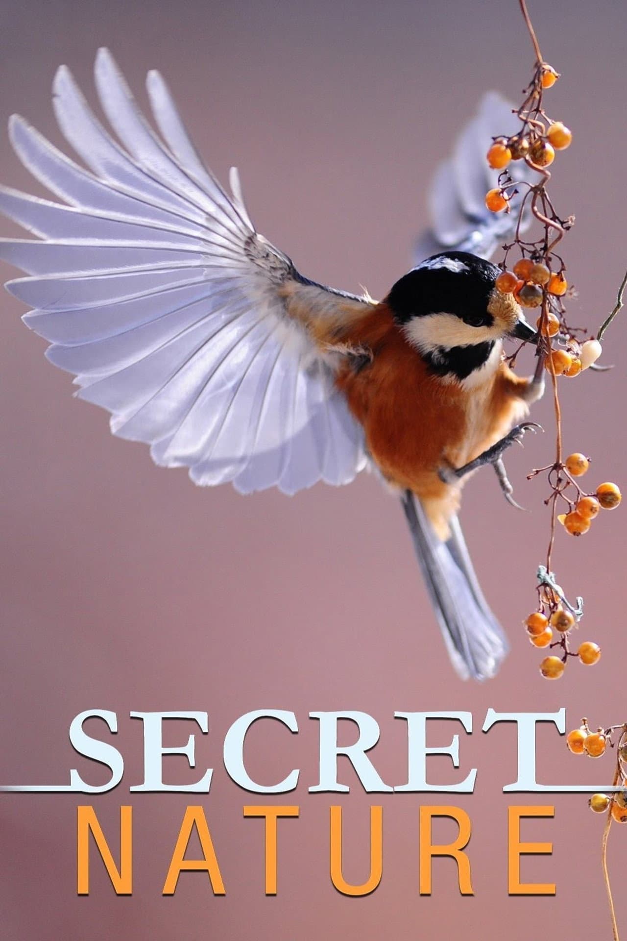 Secret Nature preview 1
