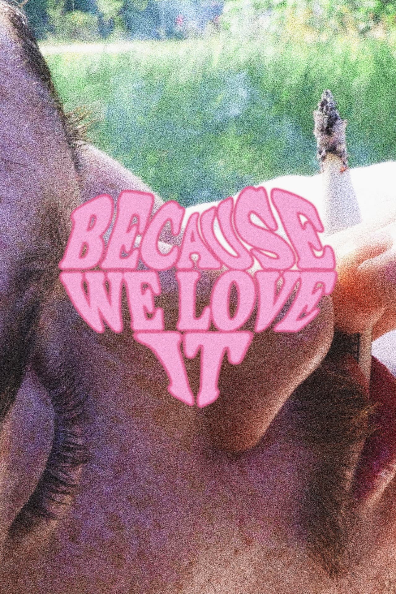 Because We Love It preview 2