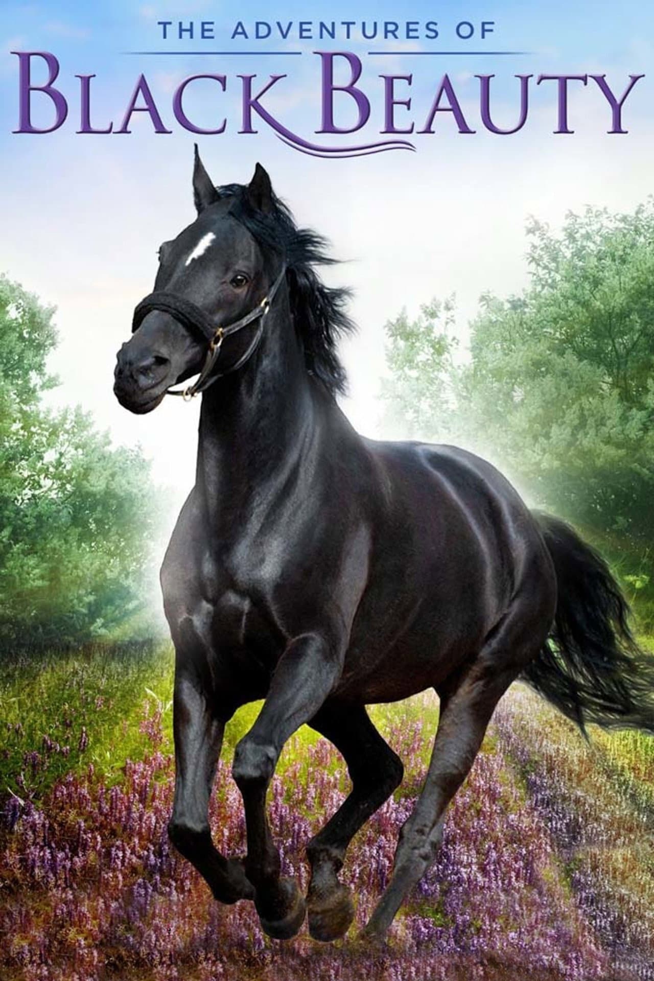 The Adventures of Black Beauty preview 2
