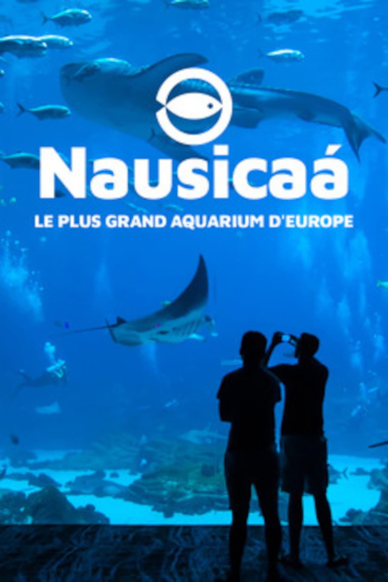 Nausicaa: The Largest Aquarium in Europe preview 2