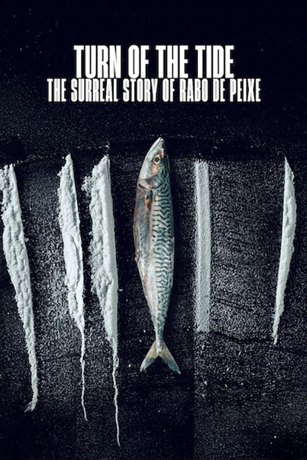 Turn of the Tide: The Surreal Story of Rabo de Peixe preview 2
