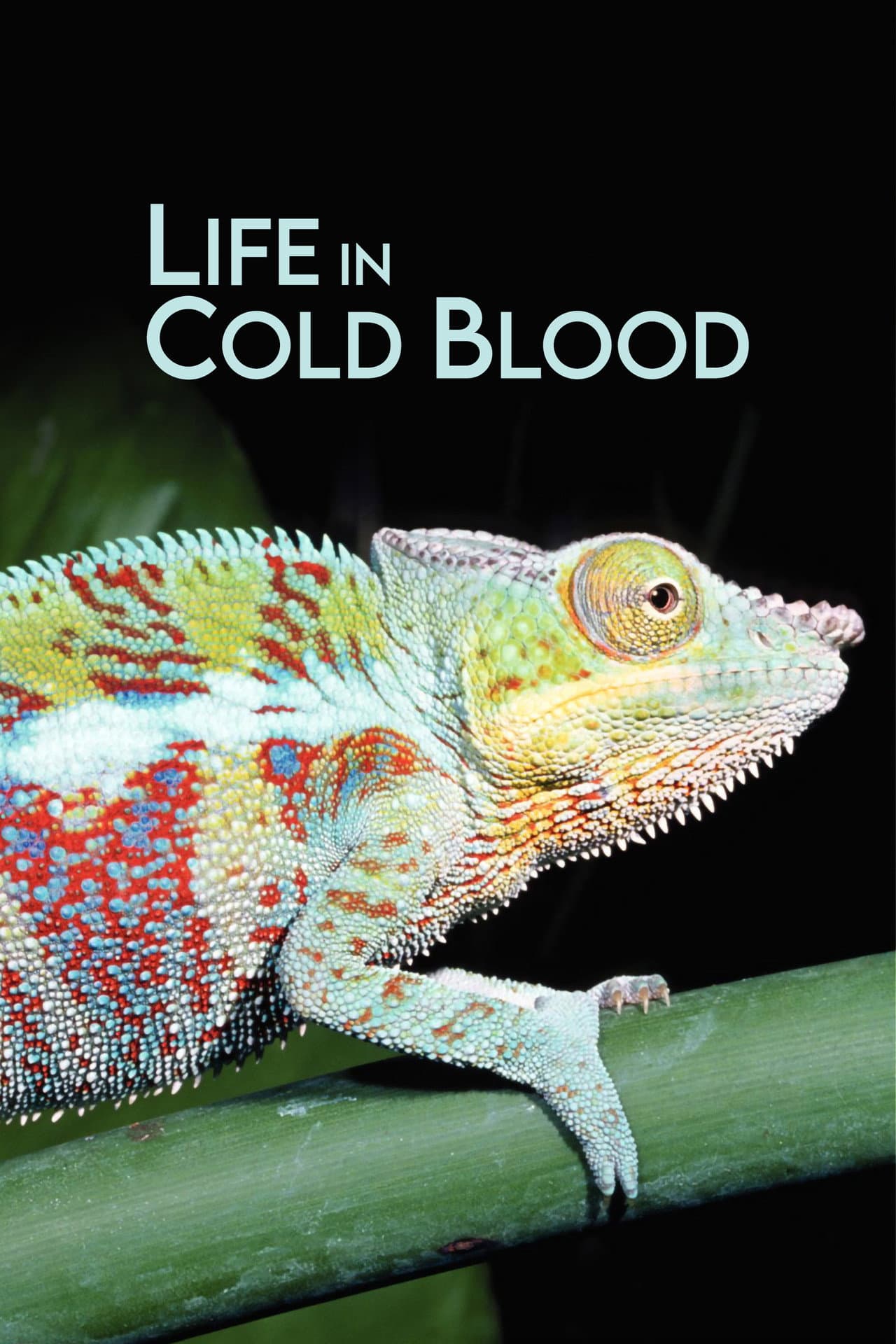 Life in Cold Blood preview 2